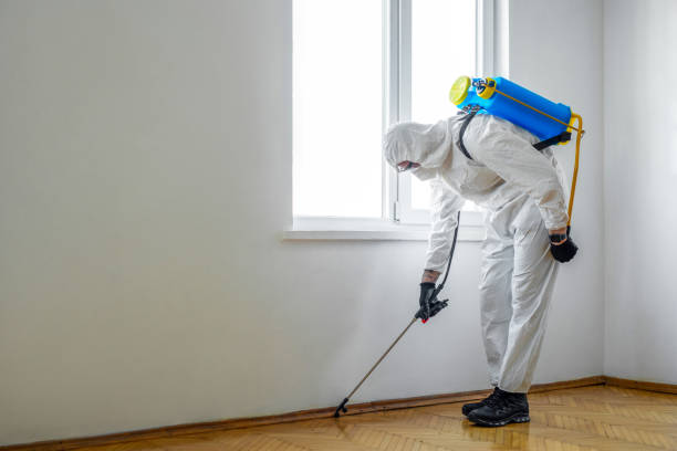 Emergency Pest Control Services in Portland, TN